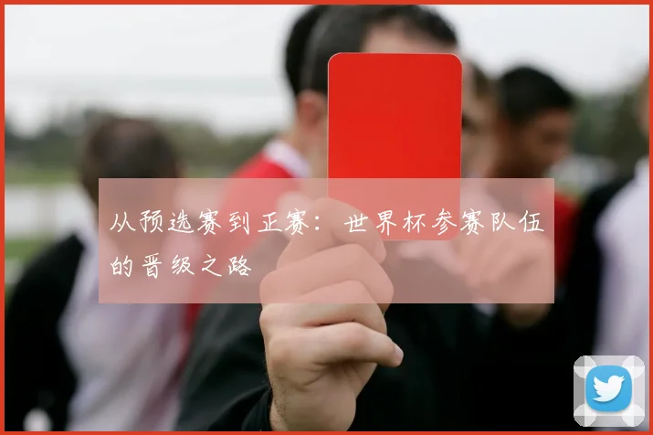 从预选赛到正赛：世界杯参赛队伍的晋级之路