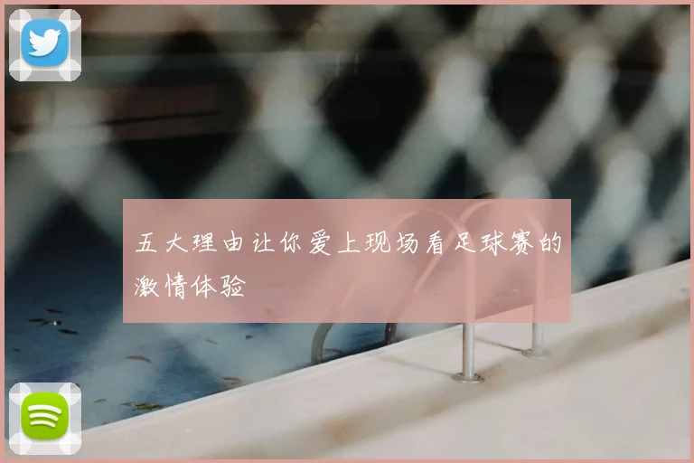 五大理由让你爱上现场看足球赛的激情体验