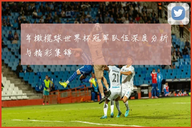 年橄榄球世界杯冠军队伍深度分析与精彩集锦