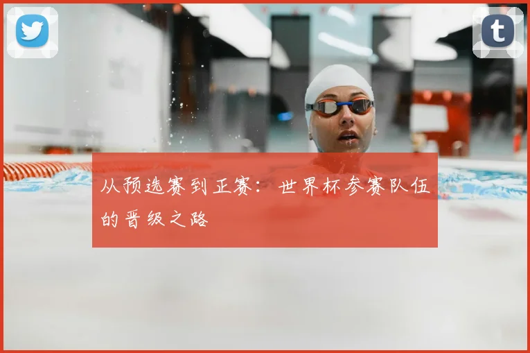 从预选赛到正赛：世界杯参赛队伍的晋级之路