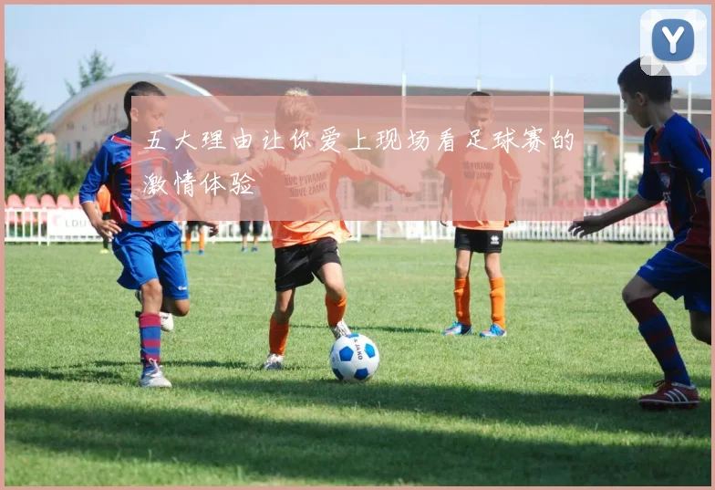 五大理由让你爱上现场看足球赛的激情体验