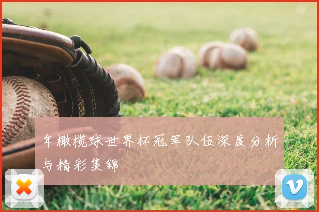 年橄榄球世界杯冠军队伍深度分析与精彩集锦
